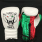 Custom Pantera Boxing Gloves