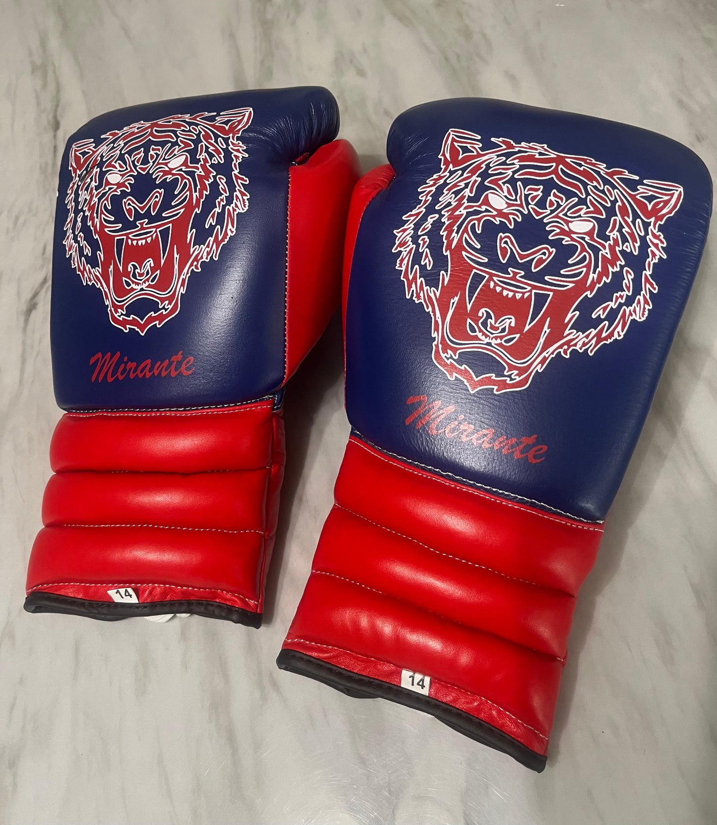 Custom Pantera Boxing Gloves